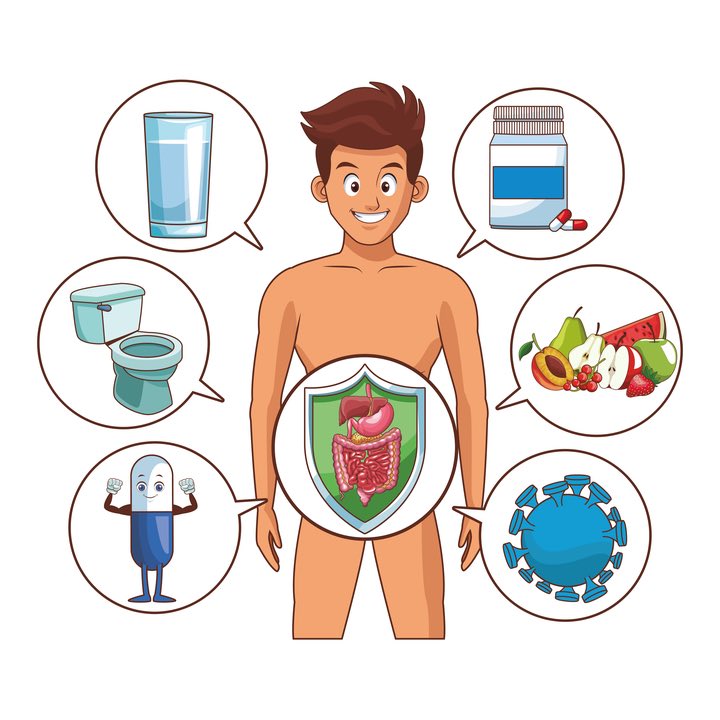 Métabolisme et microbiote intestinal
